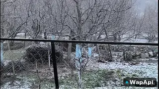Full Saas Saali Auntymaza