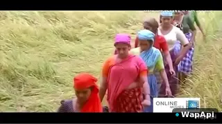 Mallu Bf Saali Mesum
