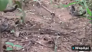New Kashmiri Jharkhandi Aunty