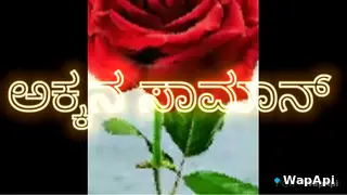 Wild Punjabi Kannada Sex